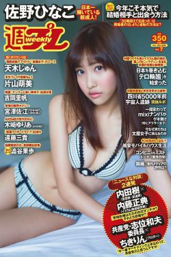 神抢 电视剧全集